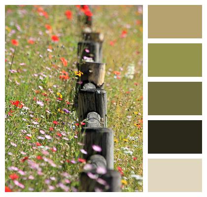 Meadow Flowers Fence Posts Image